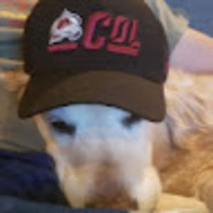 Meet your Posher, Georganna